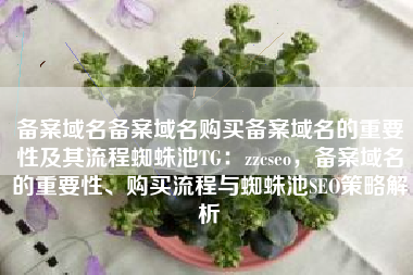 备案域名备案域名购买备案域名的重要性及其流程蜘蛛池TG：zzcseo，备案域名的重要性、购买流程与蜘蛛池SEO策略解析