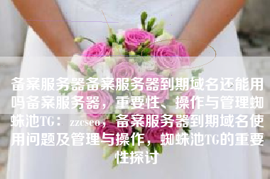 备案服务器备案服务器到期域名还能用吗备案服务器，重要性、操作与管理蜘蛛池TG：zzcseo，备案服务器到期域名使用问题及管理与操作，蜘蛛池TG的重要性探讨