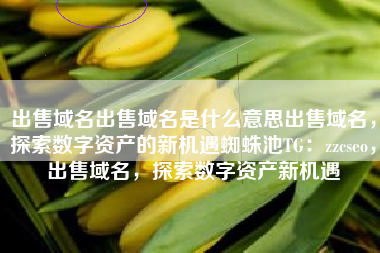 出售域名出售域名是什么意思出售域名，探索数字资产的新机遇蜘蛛池TG：zzcseo，出售域名，探索数字资产新机遇