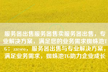 服务器出售服务器售卖服务器出售，专业解决方案，满足您的业务需求蜘蛛池TG：zzcseo，服务器出售与专业解决方案，满足业务需求，蜘蛛池TG助力企业成长