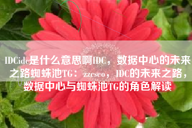 IDCidc是什么意思啊IDC，数据中心的未来之路蜘蛛池TG：zzcseo，IDC的未来之路，数据中心与蜘蛛池TG的角色解读