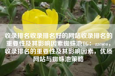 收录排名收录排名好的网站收录排名的重要性及其影响因素蜘蛛池TG：zzcseo，收录排名的重要性及其影响因素，优质网站与蜘蛛池策略