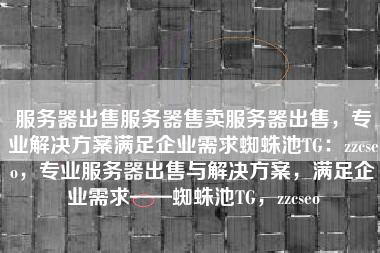 服务器出售服务器售卖服务器出售，专业解决方案满足企业需求蜘蛛池TG：zzcseo，专业服务器出售与解决方案，满足企业需求——蜘蛛池TG，zzcseo