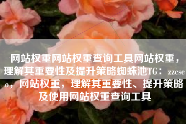 网站权重网站权重查询工具网站权重，理解其重要性及提升策略蜘蛛池TG：zzcseo，网站权重，理解其重要性、提升策略及使用网站权重查询工具
