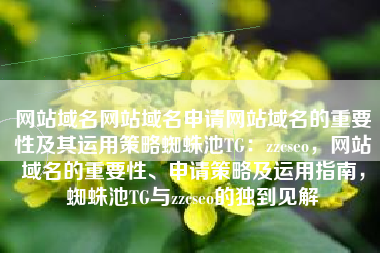 网站域名网站域名申请网站域名的重要性及其运用策略蜘蛛池TG：zzcseo，网站域名的重要性、申请策略及运用指南，蜘蛛池TG与zzcseo的独到见解