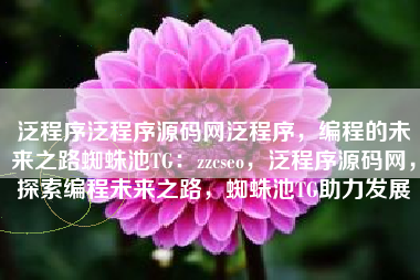 泛程序泛程序源码网泛程序，编程的未来之路蜘蛛池TG：zzcseo，泛程序源码网，探索编程未来之路，蜘蛛池TG助力发展