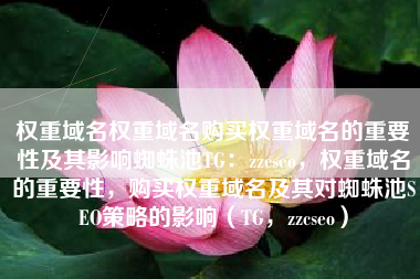 权重域名权重域名购买权重域名的重要性及其影响蜘蛛池TG：zzcseo，权重域名的重要性，购买权重域名及其对蜘蛛池SEO策略的影响（TG，zzcseo）