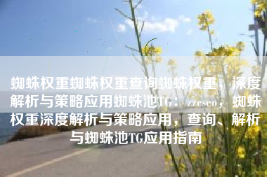 蜘蛛权重蜘蛛权重查询蜘蛛权重，深度解析与策略应用蜘蛛池TG：zzcseo，蜘蛛权重深度解析与策略应用，查询、解析与蜘蛛池TG应用指南
