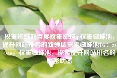 权重蜘蛛池百度权重蜘蛛ip权重蜘蛛池，提升网站排名的新领域探索蜘蛛池TG：zzcseo，权重蜘蛛池，探索提升网站排名的秘密武器
