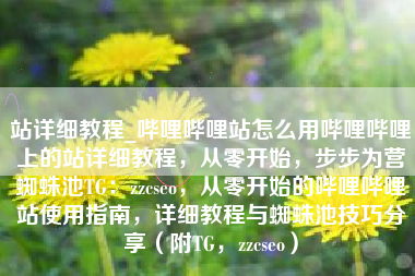 站详细教程_哔哩哔哩站怎么用哔哩哔哩上的站详细教程，从零开始，步步为营蜘蛛池TG：zzcseo，从零开始的哔哩哔哩站使用指南，详细教程与蜘蛛池技巧分享（附TG，zzcseo）