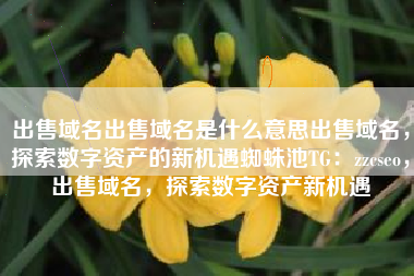 出售域名出售域名是什么意思出售域名，探索数字资产的新机遇蜘蛛池TG：zzcseo，出售域名，探索数字资产新机遇