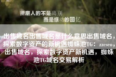 出售域名出售域名是什么意思出售域名，探索数字资产的新机遇蜘蛛池TG：zzcseo，出售域名，探索数字资产新机遇，蜘蛛池TG域名交易解析