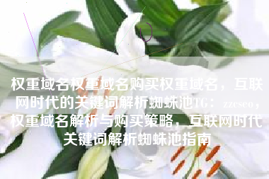 权重域名权重域名购买权重域名，互联网时代的关键词解析蜘蛛池TG：zzcseo，权重域名解析与购买策略，互联网时代关键词解析蜘蛛池指南