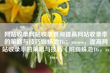 网站收录网站收录查询提高网站收录率的策略与技巧蜘蛛池TG：zzcseo，提高网站收录率的策略与技巧（附蜘蛛池TG，zzcseo）