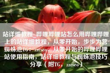 站详细教程_哔哩哔哩站怎么用哔哩哔哩上的站详细教程，从零开始，步步为营蜘蛛池TG：zzcseo，从零开始的哔哩哔哩站使用指南，站详细教程与蜘蛛池技巧分享（附TG，zzcseo）