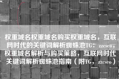 权重域名权重域名购买权重域名，互联网时代的关键词解析蜘蛛池TG：zzcseo，权重域名解析与购买策略，互联网时代关键词解析蜘蛛池指南（附TG，zzcseo）