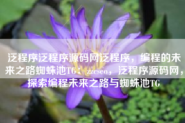 泛程序泛程序源码网泛程序，编程的未来之路蜘蛛池TG：zzcseo，泛程序源码网，探索编程未来之路与蜘蛛池TG