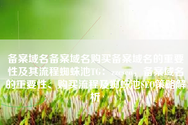 备案域名备案域名购买备案域名的重要性及其流程蜘蛛池TG：zzcseo，备案域名的重要性、购买流程及蜘蛛池SEO策略解析
