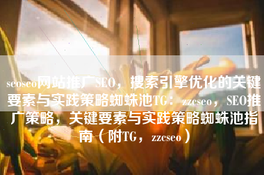 seoseo网站推广SEO，搜索引擎优化的关键要素与实践策略蜘蛛池TG：zzcseo，SEO推广策略，关键要素与实践策略蜘蛛池指南（附TG，zzcseo）