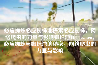 必应蜘蛛必应蜘蛛池探索必应蜘蛛，网络爬虫的力量与影响蜘蛛池TG：zzcseo，必应蜘蛛与蜘蛛池的秘密，网络爬虫的力量与影响