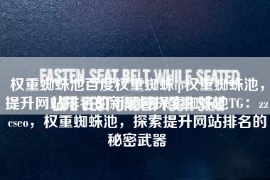 权重蜘蛛池百度权重蜘蛛ip权重蜘蛛池，提升网站排名的新领域探索蜘蛛池TG：zzcseo，权重蜘蛛池，探索提升网站排名的秘密武器