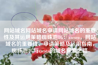 网站域名网站域名申请网站域名的重要性及其运用策略蜘蛛池TG：zzcseo，网站域名的重要性、申请策略及运用指南，蜘蛛池TG与zzcseo的域名探索之路