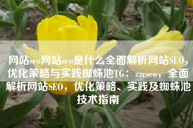 网站seo网站seo是什么全面解析网站SEO，优化策略与实践蜘蛛池TG：zzcseo，全面解析网站SEO，优化策略、实践及蜘蛛池技术指南