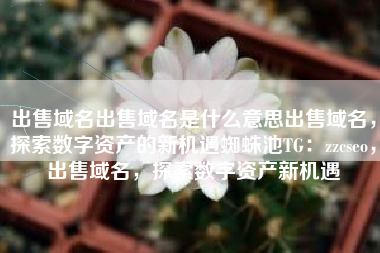 出售域名出售域名是什么意思出售域名，探索数字资产的新机遇蜘蛛池TG：zzcseo，出售域名，探索数字资产新机遇