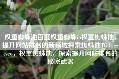 权重蜘蛛池百度权重蜘蛛ip权重蜘蛛池，提升网站排名的新领域探索蜘蛛池TG：zzcseo，权重蜘蛛池，探索提升网站排名的秘密武器