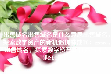 出售域名出售域名是什么意思出售域名，探索数字资产的新机遇蜘蛛池TG：zzcseo，出售域名，探索数字资产新机遇与蜘蛛池SEO策略