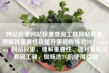 网站权重网站权重查询工具网站权重，理解其重要性及提升策略蜘蛛池TG：zzcseo，网站权重，理解重要性、提升策略及查询工具，蜘蛛池TG的使用指南