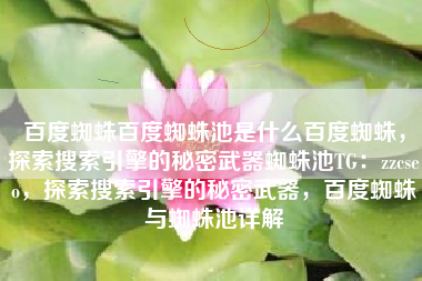 百度蜘蛛百度蜘蛛池是什么百度蜘蛛，探索搜索引擎的秘密武器蜘蛛池TG：zzcseo，探索搜索引擎的秘密武器，百度蜘蛛与蜘蛛池详解