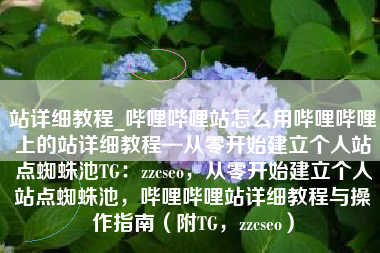 站详细教程_哔哩哔哩站怎么用哔哩哔哩上的站详细教程—从零开始建立个人站点蜘蛛池TG：zzcseo，从零开始建立个人站点蜘蛛池，哔哩哔哩站详细教程与操作指南（附TG，zzcseo）