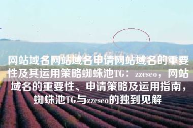 网站域名网站域名申请网站域名的重要性及其运用策略蜘蛛池TG：zzcseo，网站域名的重要性、申请策略及运用指南，蜘蛛池TG与zzcseo的独到见解