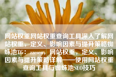 网站权重网站权重查询工具深入了解网站权重，定义、影响因素与提升策略蜘蛛池TG：zzcseo，网站权重，定义、影响因素与提升策略详解——使用网站权重查询工具与蜘蛛池SEO技巧