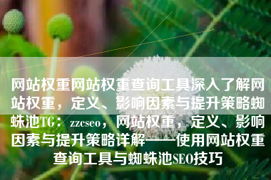 网站权重网站权重查询工具深入了解网站权重，定义、影响因素与提升策略蜘蛛池TG：zzcseo，网站权重，定义、影响因素与提升策略详解——使用网站权重查询工具与蜘蛛池SEO技巧