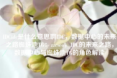 IDCidc是什么意思啊IDC，数据中心的未来之路蜘蛛池TG：zzcseo，IDC的未来之路，数据中心与蜘蛛池TG的角色解读
