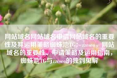 网站域名网站域名申请网站域名的重要性及其运用策略蜘蛛池TG：zzcseo，网站域名的重要性、申请策略及运用指南，蜘蛛池TG与zzcseo的独到见解