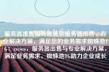 服务器出售服务器售卖服务器出售，专业解决方案，满足您的业务需求蜘蛛池TG：zzcseo，服务器出售与专业解决方案，满足业务需求，蜘蛛池TG助力企业成长
