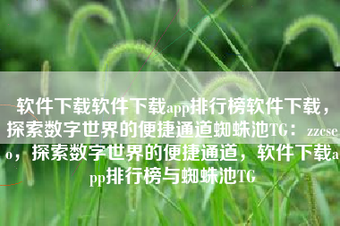 软件下载软件下载app排行榜软件下载，探索数字世界的便捷通道蜘蛛池TG：zzcseo，探索数字世界的便捷通道，软件下载app排行榜与蜘蛛池TG