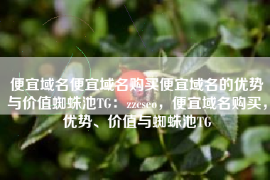 便宜域名便宜域名购买便宜域名的优势与价值蜘蛛池TG：zzcseo，便宜域名购买，优势、价值与蜘蛛池TG