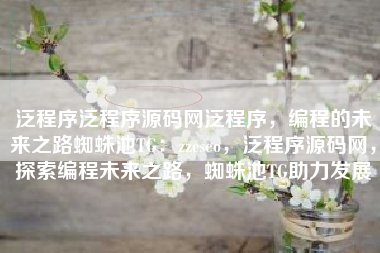泛程序泛程序源码网泛程序，编程的未来之路蜘蛛池TG：zzcseo，泛程序源码网，探索编程未来之路，蜘蛛池TG助力发展