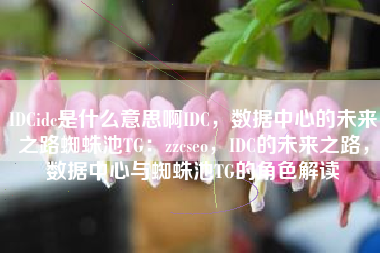 IDCidc是什么意思啊IDC，数据中心的未来之路蜘蛛池TG：zzcseo，IDC的未来之路，数据中心与蜘蛛池TG的角色解读