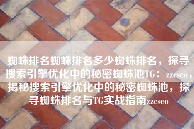 蜘蛛排名蜘蛛排名多少蜘蛛排名，探寻搜索引擎优化中的秘密蜘蛛池TG：zzcseo，揭秘搜索引擎优化中的秘密蜘蛛池，探寻蜘蛛排名与TG实战指南zzcseo