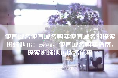 便宜域名便宜域名购买便宜域名的探索蜘蛛池TG：zzcseo，便宜域名购买指南，探索蜘蛛池TG域名优惠