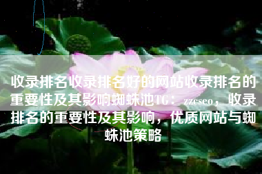 收录排名收录排名好的网站收录排名的重要性及其影响蜘蛛池TG：zzcseo，收录排名的重要性及其影响，优质网站与蜘蛛池策略