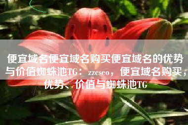 便宜域名便宜域名购买便宜域名的优势与价值蜘蛛池TG：zzcseo，便宜域名购买，优势、价值与蜘蛛池TG