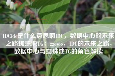 IDCidc是什么意思啊IDC，数据中心的未来之路蜘蛛池TG：zzcseo，IDC的未来之路，数据中心与蜘蛛池TG的角色解读