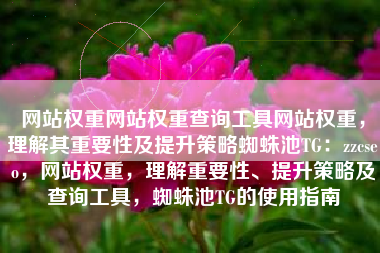 网站权重网站权重查询工具网站权重，理解其重要性及提升策略蜘蛛池TG：zzcseo，网站权重，理解重要性、提升策略及查询工具，蜘蛛池TG的使用指南