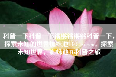 科普一下科普一下锵锵锵锵锵科普一下，探索未知的世界蜘蛛池TG：zzcseo，探索未知世界，蜘蛛池TG科普之旅